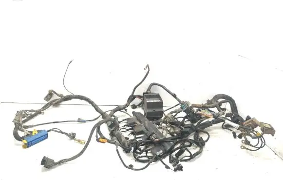 Renault Espace IV Engine installation wiring loom 8200396214 55RGDW102