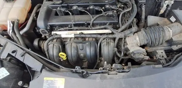 Ford Focus Engine QQDAQQDB