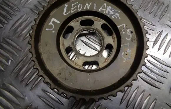 Seat Leon (1P) Fuel pump gear (pulley) 038130111A