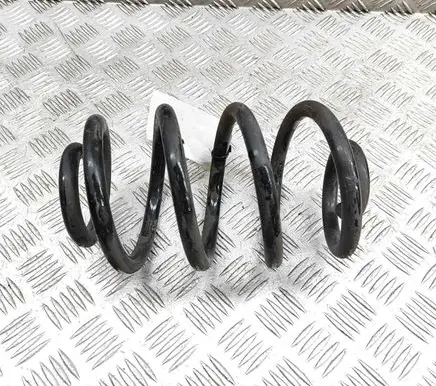 Nissan Leaf II (ZE1) Rear coil spring 550205SJ1B
