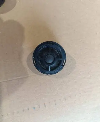 Front door high frequency speaker