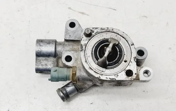 Thermostat/thermostat housing