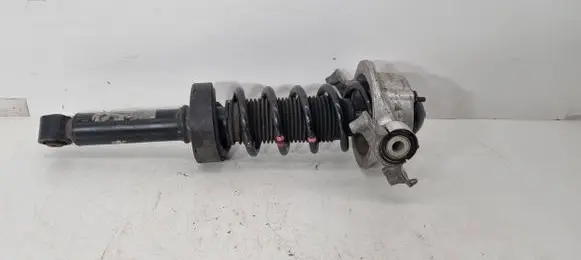 Porsche Cayenne (92A) Rear shock absorber/damper 7P5513029G