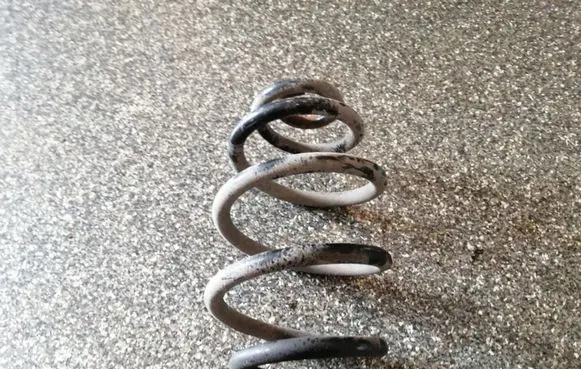 Volkswagen PASSAT B5.5 Rear coil spring