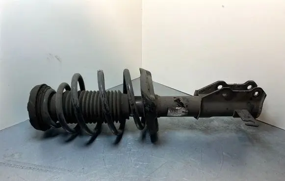 Opel Insignia A Front shock absorber/damper 13245966