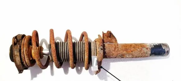 Volkswagen PASSAT B6 Front shock absorber/damper 
