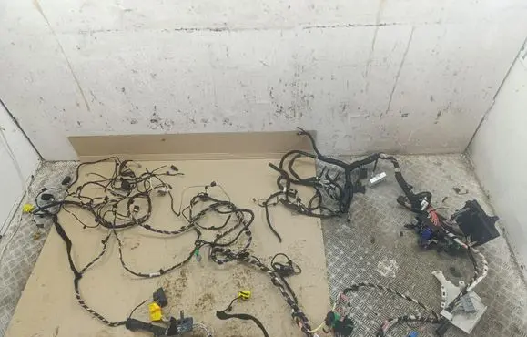 Renault Fluence Front door wiring loom/harness boot 241635654R