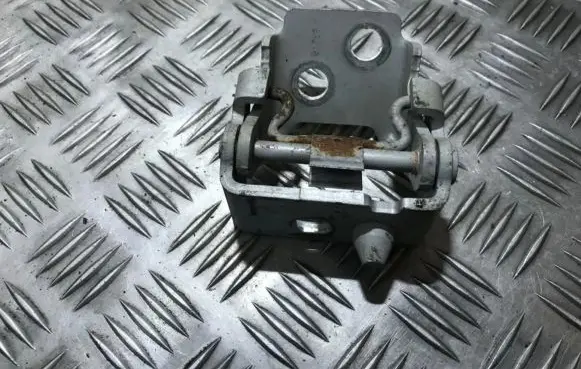 Peugeot 207 Rear door lower hinge