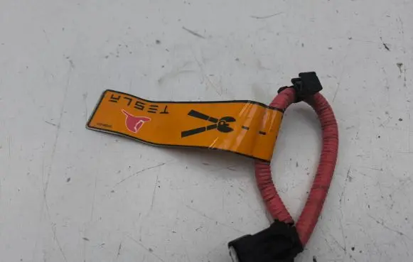 Tesla Model S Other wiring loom 101558500A
