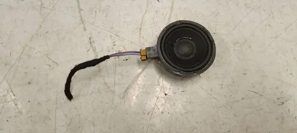 Panel speaker
