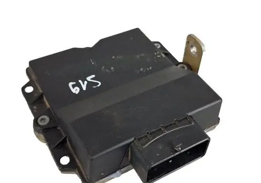 BMW 5 E39 LP gas control unit module 10R051131