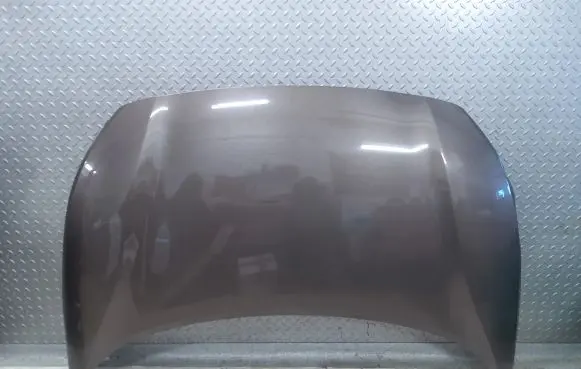Engine bonnet/hood