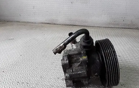 Peugeot 406 Power steering pump 9624660480