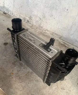 Nissan Juke I F15 Intercooler radiator 818264