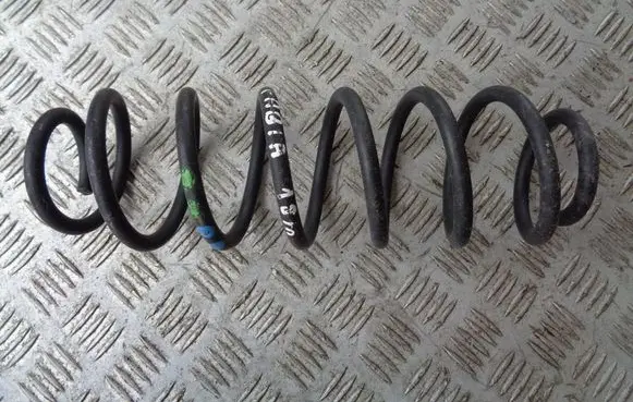 Rear coil spring