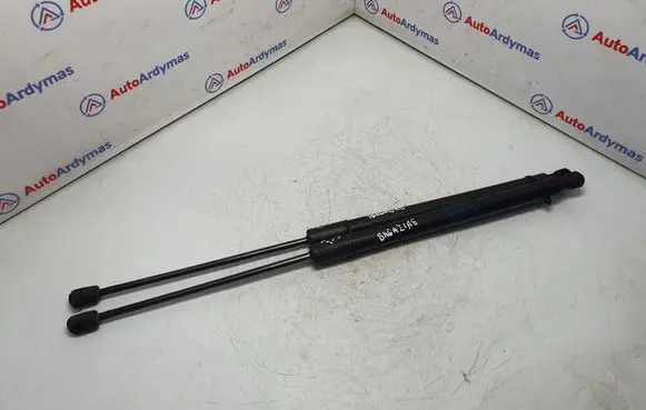BMW X1 E84 Tailgate/trunk strut/damper 2990136 51242990136