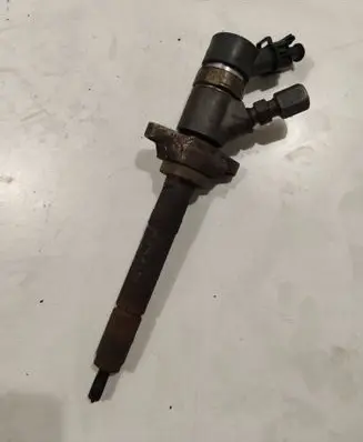 Citroen Berlingo Fuel injector 0445110239