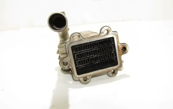 Volkswagen Golf IV EGR valve cooler 038131513D