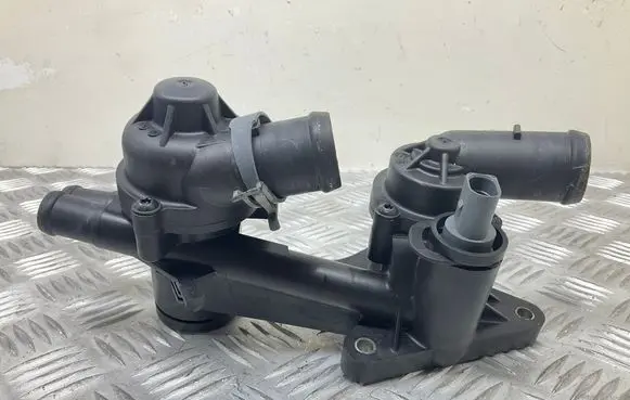 Thermostat/thermostat housing