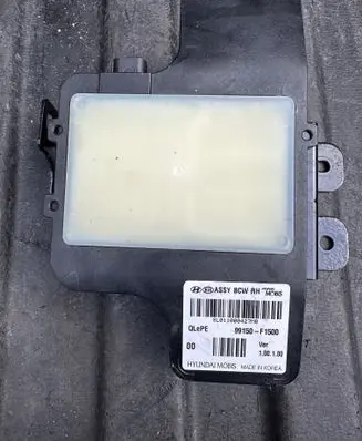 Blind spot module