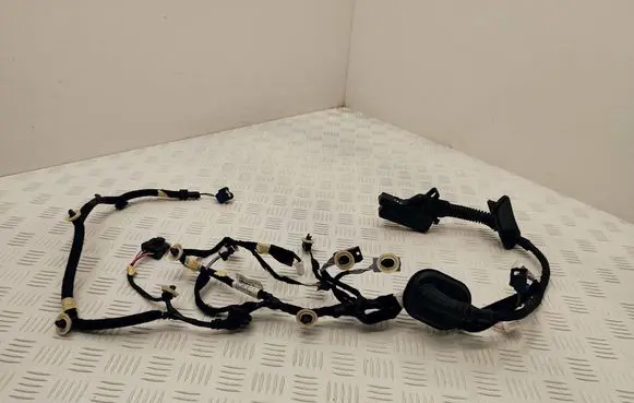 Renault Scenic E-Tech V Front door wiring loom 241242361R