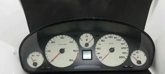 Peugeot 607 Speedometer (instrument cluster) 110008883017