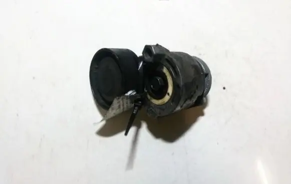 Dacia Logan II Generator/alternator belt tensioner 117503662R
