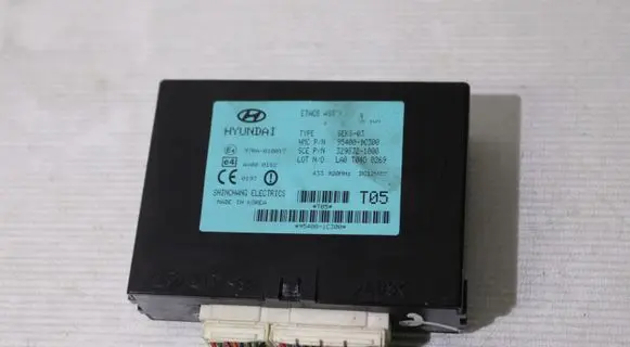 Hyundai Getz Immobilizer control unit/module 954001C300
