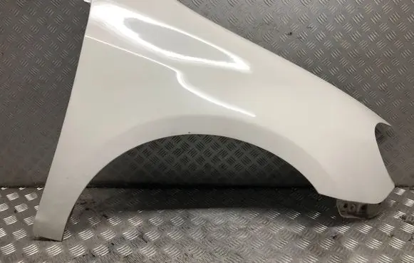 Volkswagen Golf VI Fender