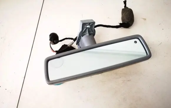 Volkswagen Phaeton Rear view mirror (interior) e1010682