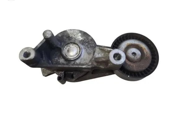 Seat Leon (1P) Generator/alternator belt tensioner 038903315A