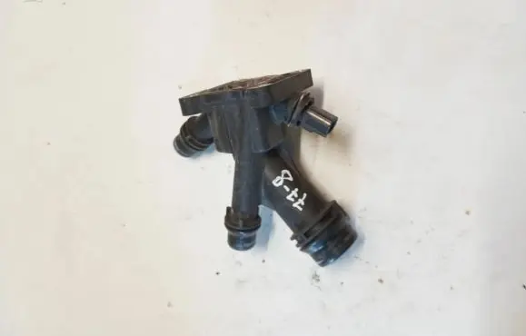 Thermostat/thermostat housing