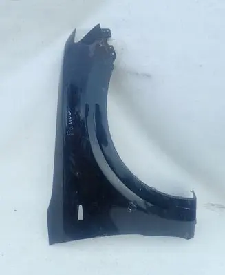 Mitsubishi Pajero Fender