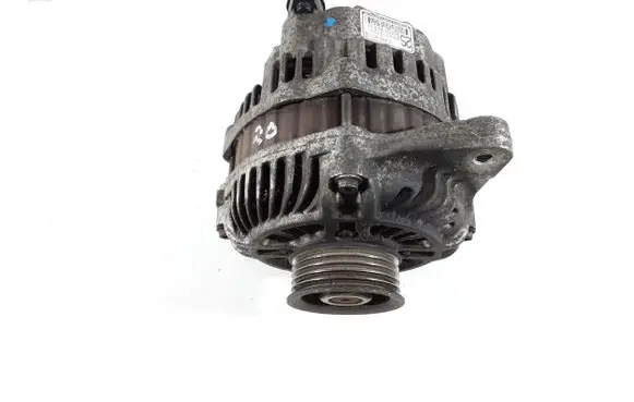 Suzuki Grand Vitara II Generator/alternator 3140065J10 3140065J1 A5TG0291