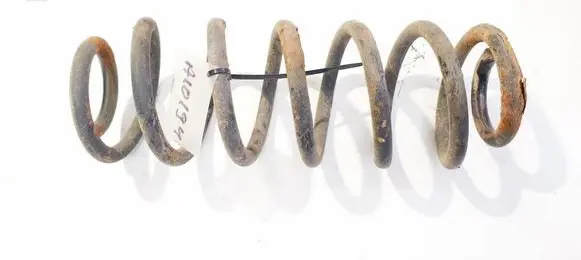 Rear coil spring