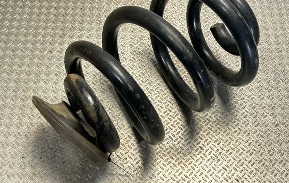Rear coil spring
