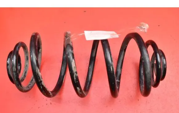 Rear coil spring