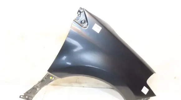 Renault Koleos I Fender