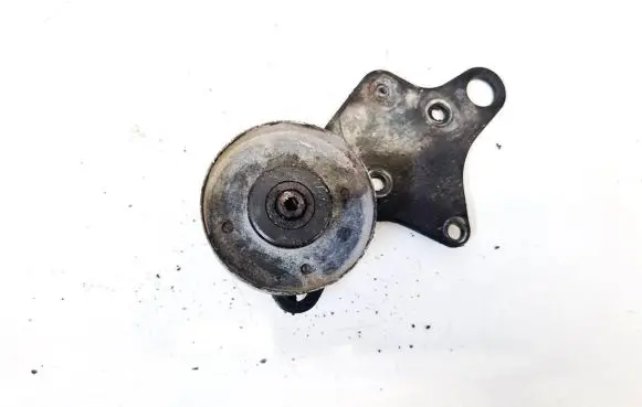Peugeot Boxer Generator/alternator belt tensioner