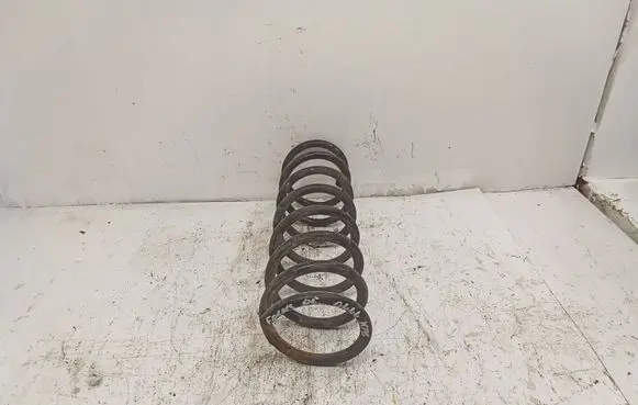 Ford Focus Rear coil spring