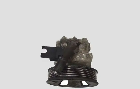 Hyundai Santa Fe Power steering pump