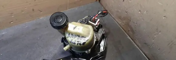 Dacia Sandero II Power steering pump 491102583R