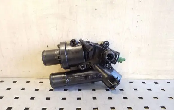 Thermostat/thermostat housing