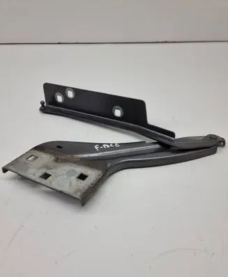 Jaguar F-Pace Engine bonnet/hood hinges HK8316801