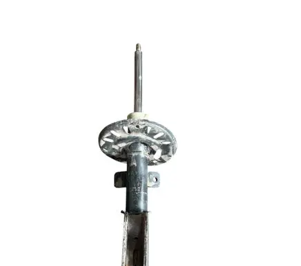 Citroen Berlingo Front shock absorber/damper 9833306080 303100073