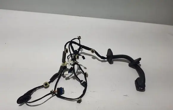 Renault Arkana Other wiring loom 241248964R