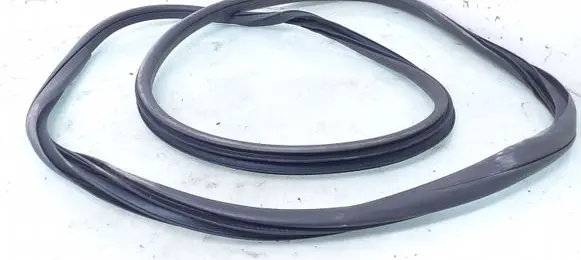 Nissan Juke I F15 Front door rubber seal
