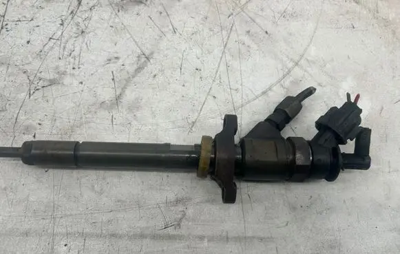 Citroen C4 I Picasso Fuel injector 0445110311