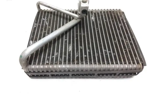 Volvo XC90 Air conditioning (A/C) radiator (interior) E2411003