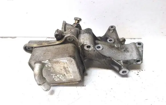 Skoda Yeti (5L) Oil filter mounting bracket 03F903143H